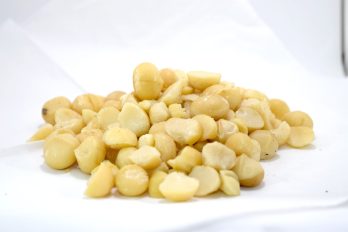 Macadamia