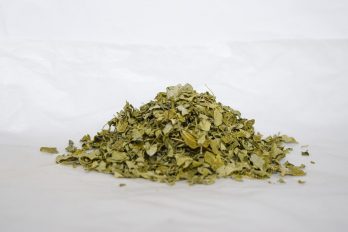 Moringa entera