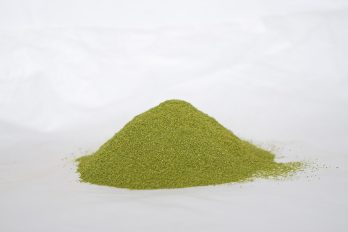 Moringa molida