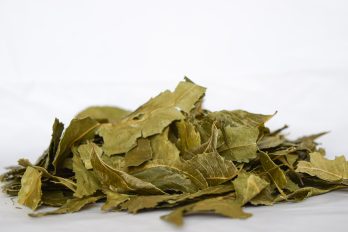 Neem hoja