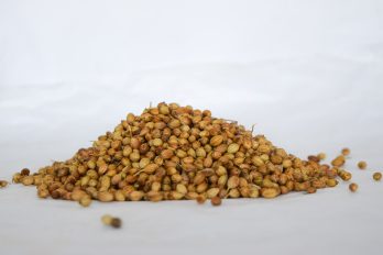 Semilla cilantro entero