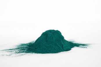 Spirulina verde