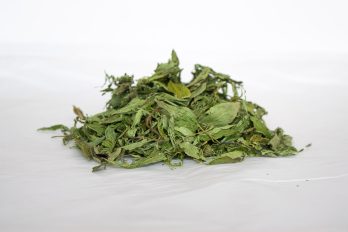 Stevia entera