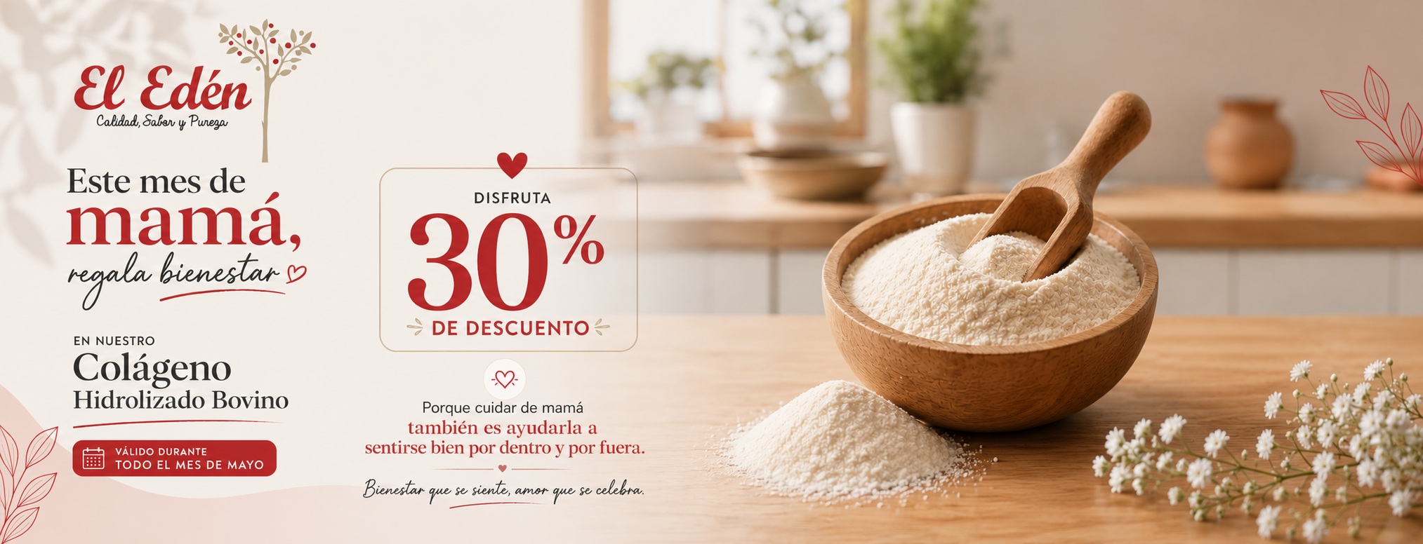 BANNER WEB MADRE PROMO